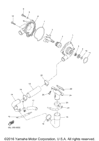 Water Pump