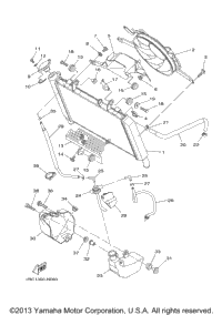 Radiator Hose