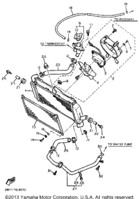 Radiator Hose