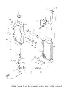 Radiator Hose