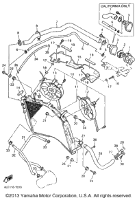 Radiator Hose