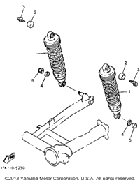 Rear Shocks