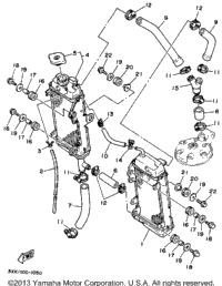 Radiator - Hose