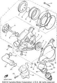 Water Pump