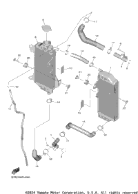 Radiator Hose