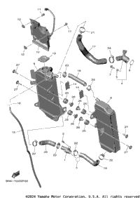 Radiator & Hose