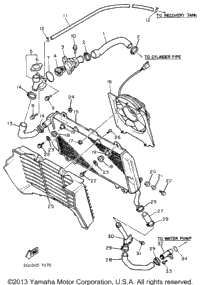 Radiator Hose