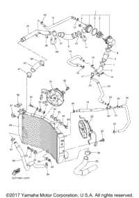 Radiator Hose