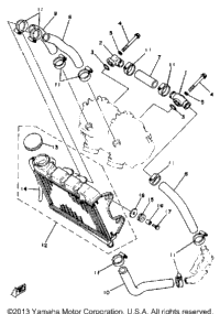 Radiator Hose