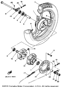 Rear Wheel