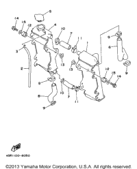Radiator - Hose