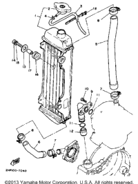 Radiator - Hose