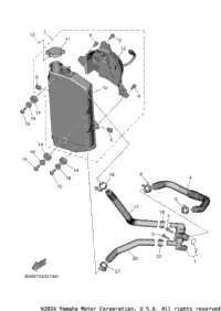 Radiator & Hose