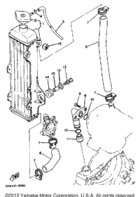 Radiator Hose
