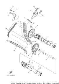 Camshaft Chain
