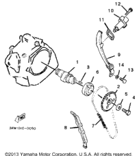 Camshaft Chain