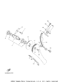 Camshaft & Chain