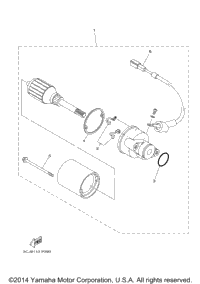 Starting Motor