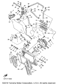 Radiator Hose