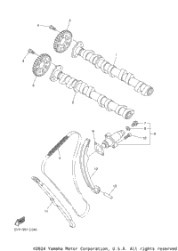 Camshaft Chain