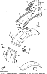 Fender