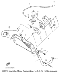 Radiator Hose