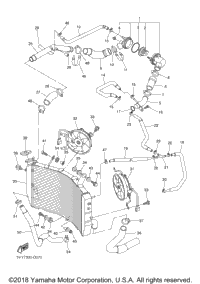 Radiator Hose