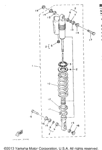 Rear Shocks