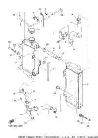 Radiator Hose