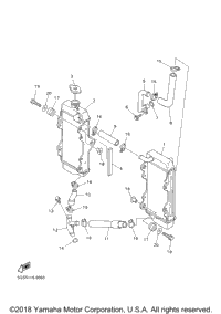 Radiator Hose