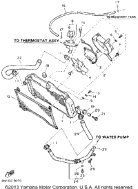 Radiator Hose