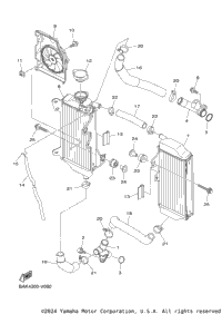 Radiator & Hose