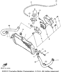 Radiator Hose