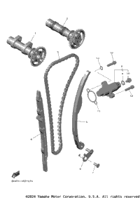 Camshaft & Chain