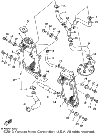 Radiator Hose