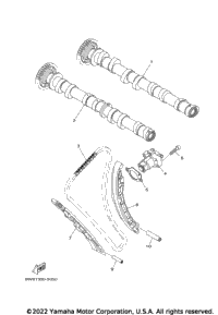 Camshaft & Chain
