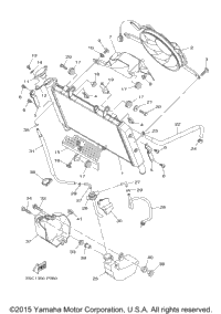 Radiator Hose