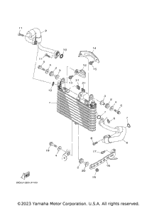 Oil Cooler