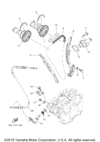 Camshaft Chain
