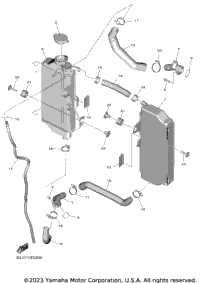 Radiator Hose