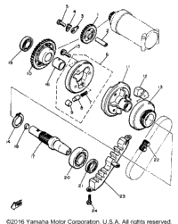 Starter Clutch