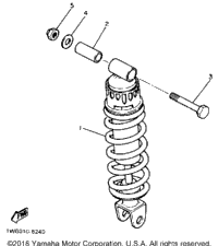 Rear Shocks