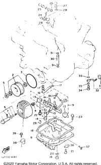 Oil Filter