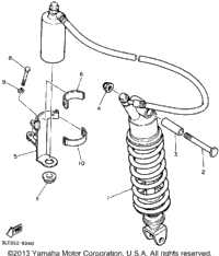 Rear Shocks