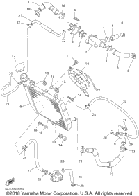 Radiator Hose