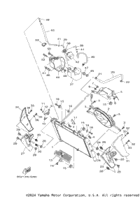 Radiator Hose
