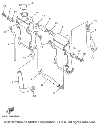 Radiator Hose