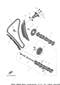 Camshaft & Chain