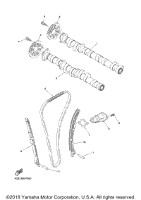 Camshaft Chain