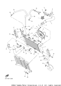 Radiator Hose